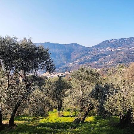Bas de villa. Côte d'Azur, à 20 kms de Nice Contes  Esterno foto