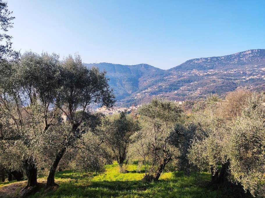 Bas de villa. Côte d'Azur, à 20 kms de Nice Contes  Esterno foto