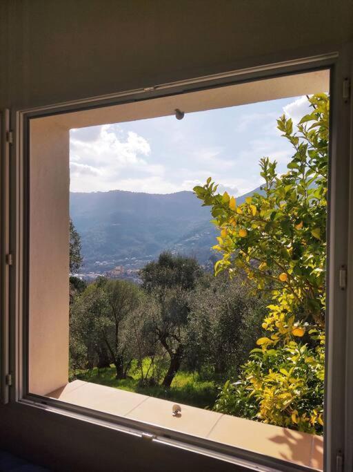 Bas de villa. Côte d'Azur, à 20 kms de Nice Contes  Esterno foto